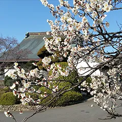 骨組み