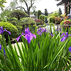 骨組み