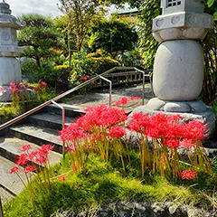 骨組み
